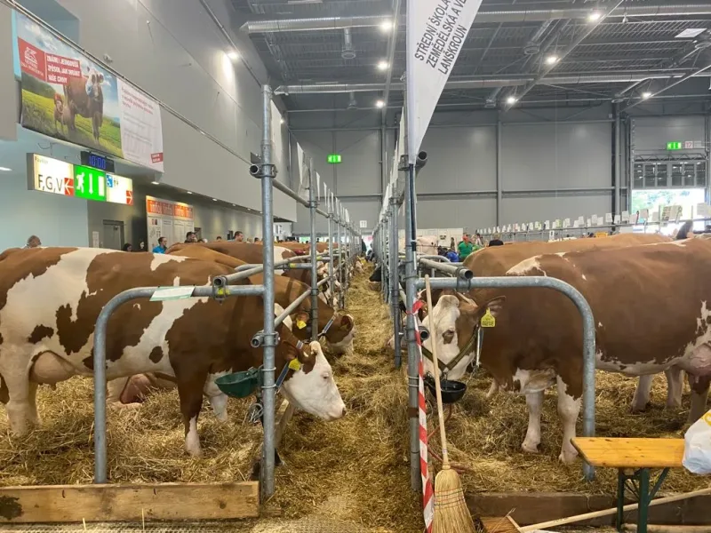 Prezentace časopisu Czech Journal of Animal Science na Národní výstavě hospodářských zvířat v Brně