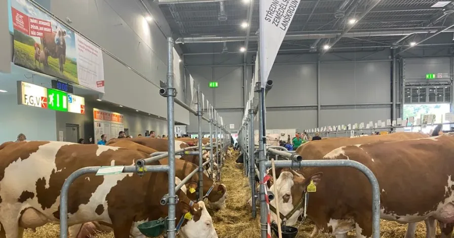 Prezentace časopisu Czech Journal of Animal Science na Národní výstavě hospodářských zvířat v Brně