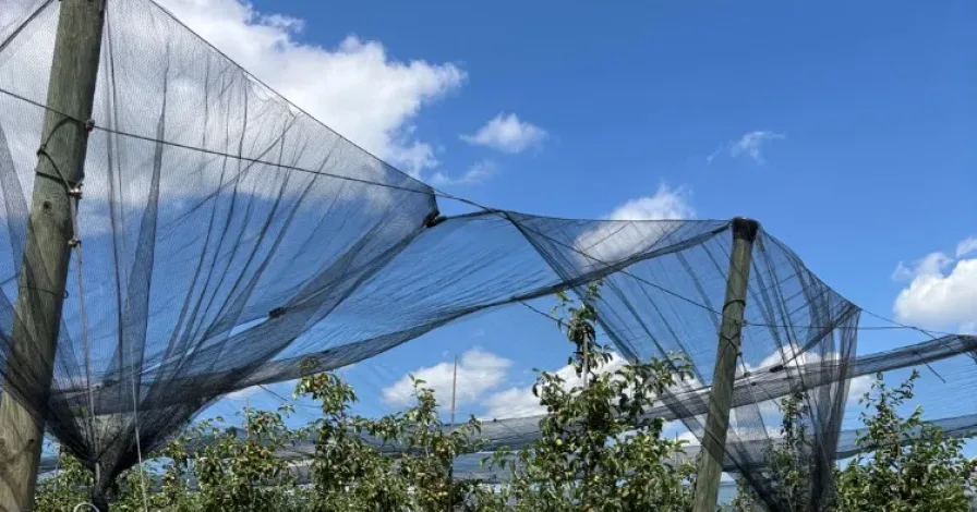 Jednání redakční rady časopisu Plant Protection Science