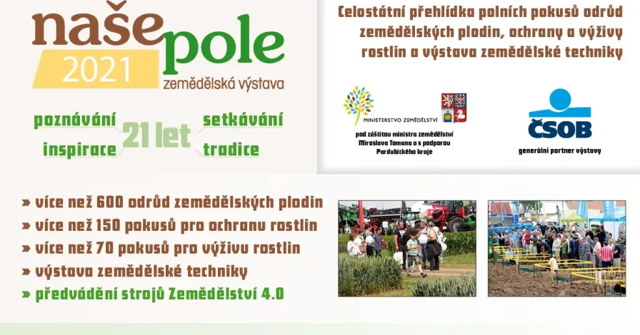 Naše pole 2021