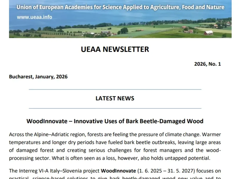 UEAA Newsletter č. 12/2025 a č. 1/2026