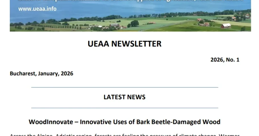 UEAA Newsletter č. 12/2025 a č. 1/2026