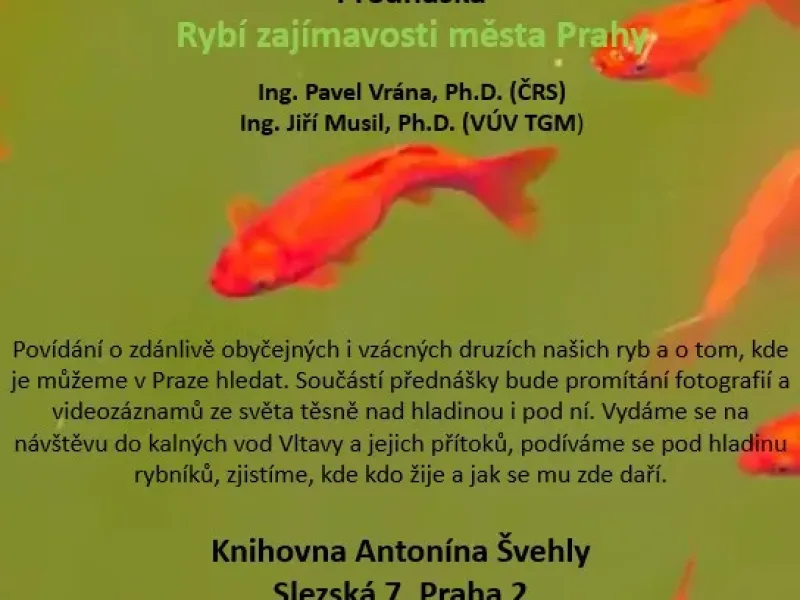 Rybí zajímavosti města Prahy
