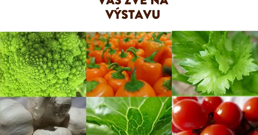 Výstava „Zelenina s rodokmenem před objektivem“