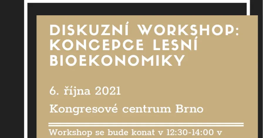 Diskusní workshop: Koncepce lesní bioekonomiky